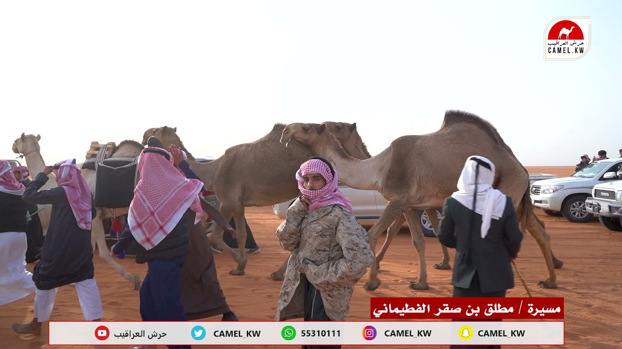 مسيرة فردية للمالك / مطلق بن صقر الفطيماني
