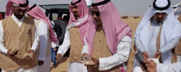 السهلي