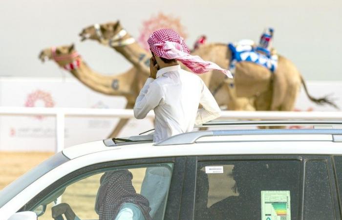 السهلي