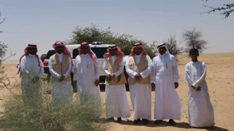 الفاو