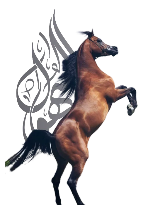 منصة السهول