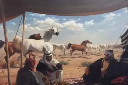 السهول وش يرجعون؟