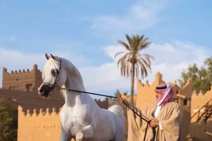 كم عدد قبيلة السهول؟