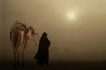 هل راكان السهلي من قبيلة السهول؟