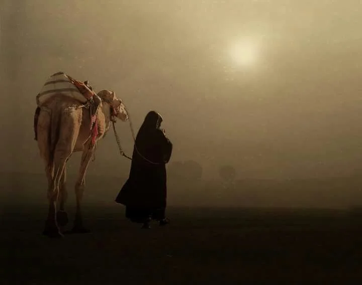 هل راكان السهلي من قبيلة السهول؟