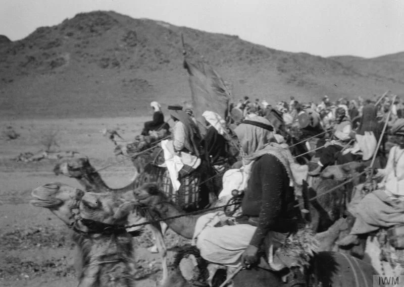 من الرضيمة إلى السبية.. مواقف لا تُنسى لقبيلة السهول