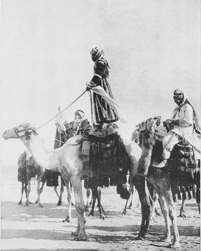 الوقائع التي جرت بين قبيلتي السهول وعنزة من الأحداث القليلة في تاريخ نجد الوقائع التي جرت بين قبيلتي السهول وعنزة من الأحداث القليلة في تاريخ نجد