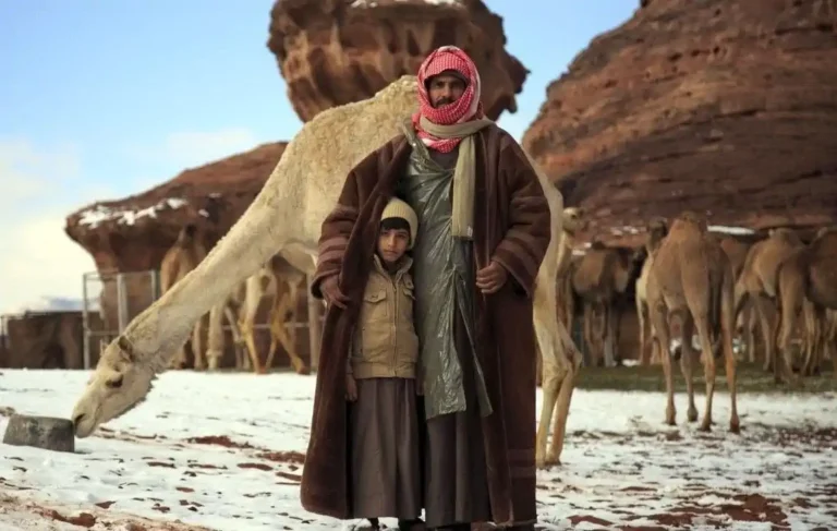 آل عبيد من قبيلة السهول