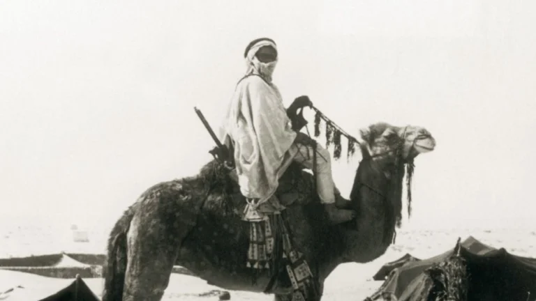 515 رمز أي قبيلة؟ 515 رمز أي قبيلة؟