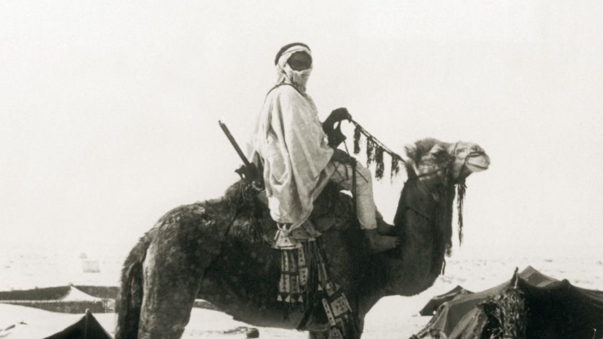 515 رمز أي قبيلة؟