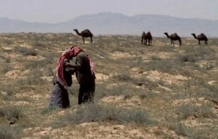 السبيعي وش يرجع؟ السبيعي يرجع إلى قبيلة سبيع بن عامر، وهي قبيلة عربية عدنانية عريقة، تنتمي إلى هوازن بن منصور من قيس عيلان بن مضر بن نزار بن معد بن عدنان، من ذرية إسماعيل بن إبراهيم عليهما السلام.