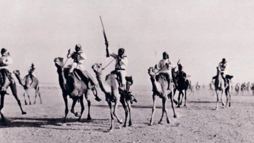 501 رمز أي قبيلة؟