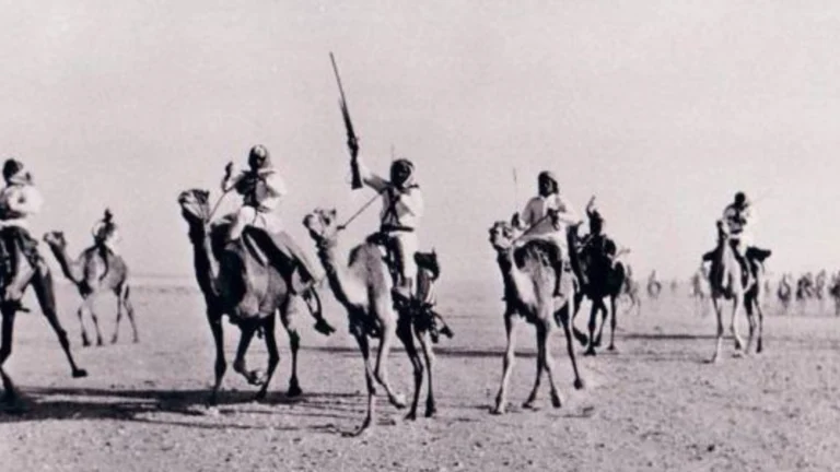 501 رمز أي قبيلة؟ 501 رمز أي قبيلة؟