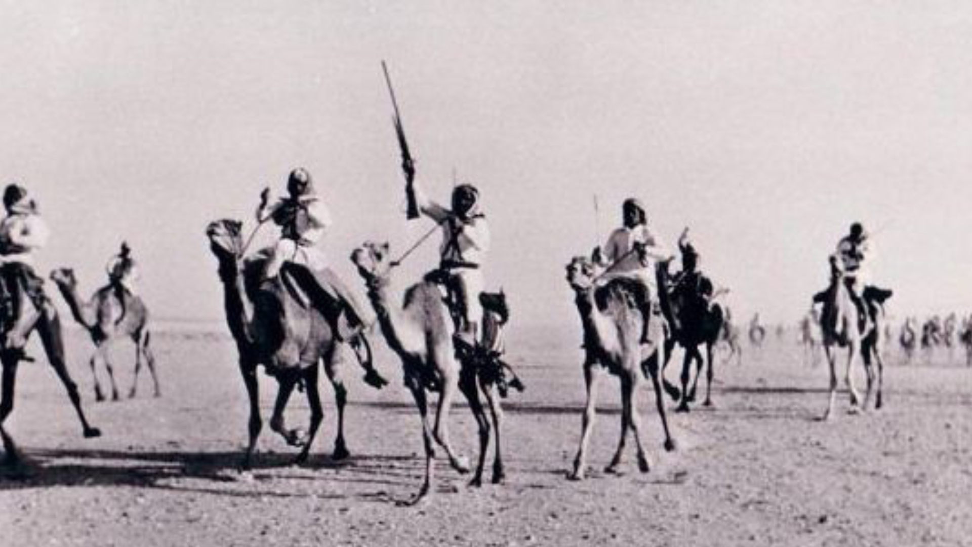 501 رمز أي قبيلة؟