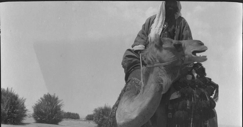صورة للفارس محمد الهيف البرازي السهلي في عام 1926م